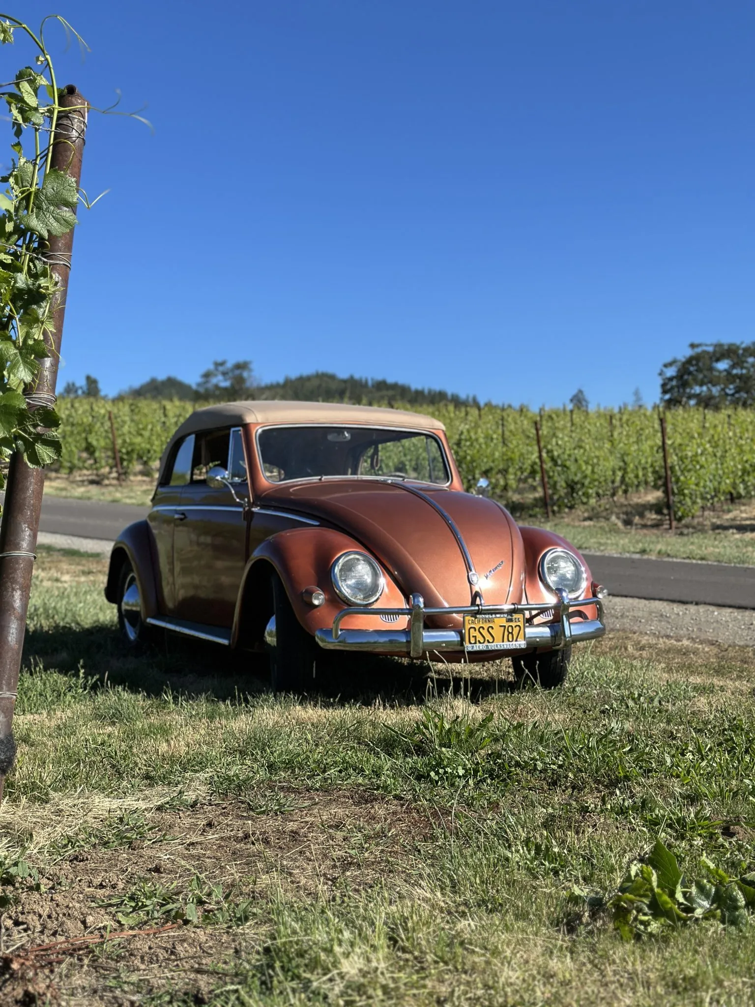 Karmann Cabriolet
