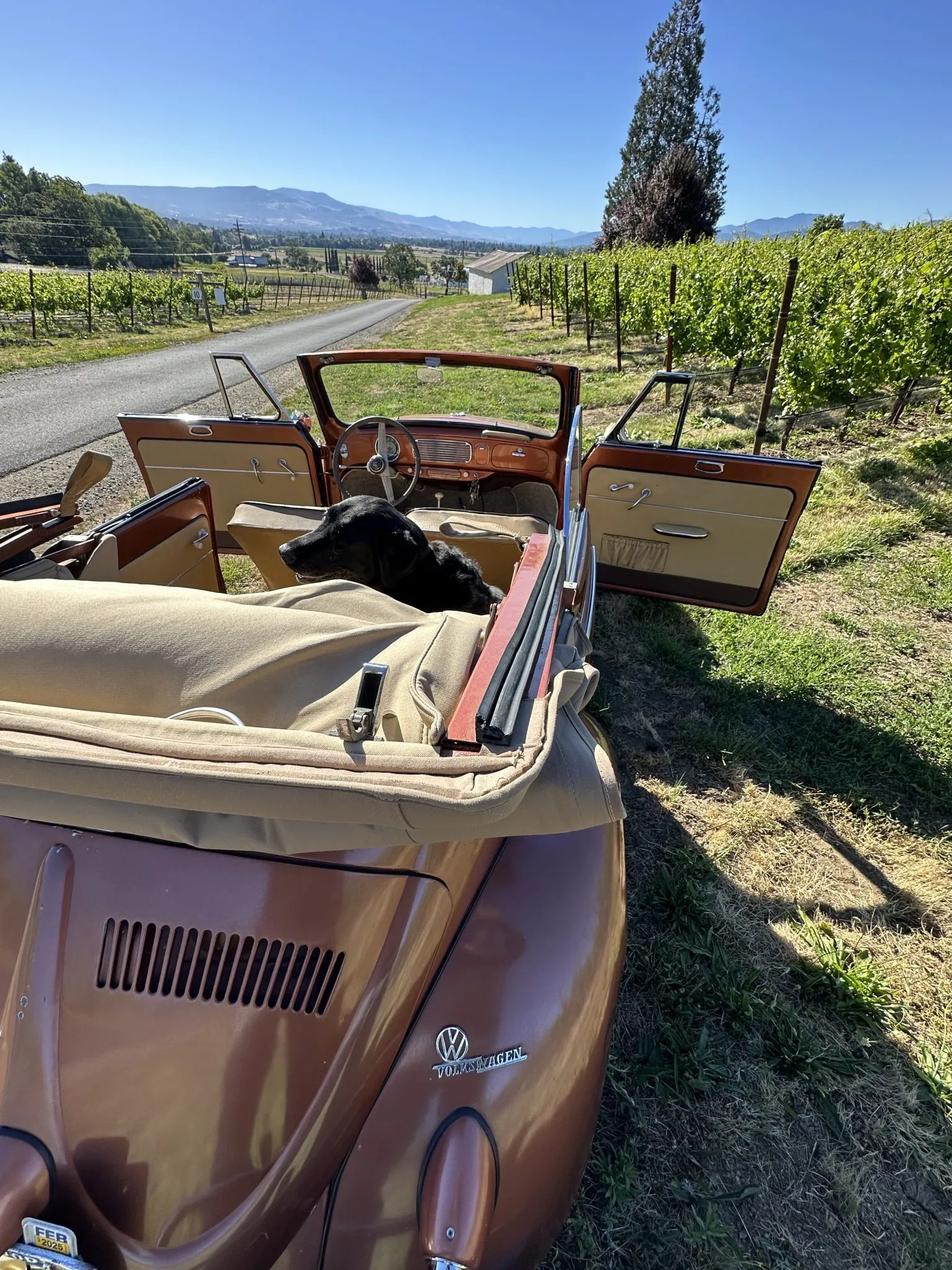 Karmann Cabriolet